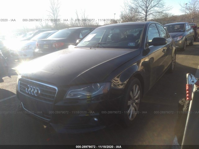 Photo 1 VIN: WAUFFAFL6AN025633 - AUDI A4 