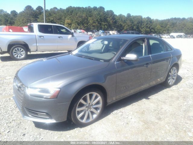 Photo 1 VIN: WAUFFAFL6DN031646 - AUDI A4 