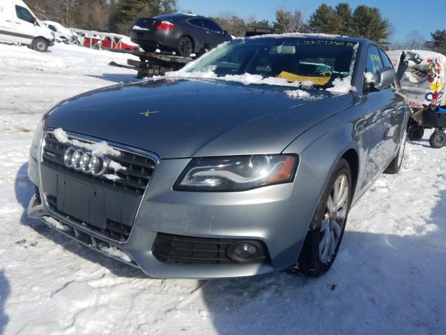 Photo 1 VIN: WAUFFAFL7AN013040 - AUDI A4 