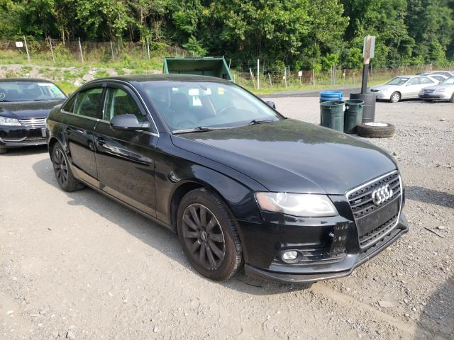 Photo 0 VIN: WAUFFAFL7AN066286 - AUDI A4 PREMIUM 