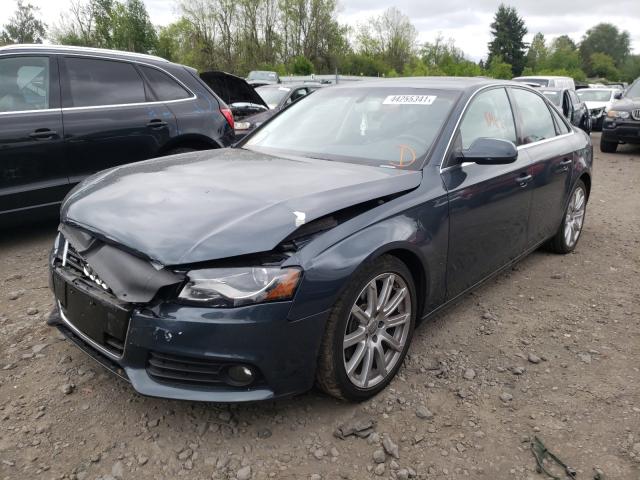 Photo 1 VIN: WAUFFAFL7BA066832 - AUDI A4 