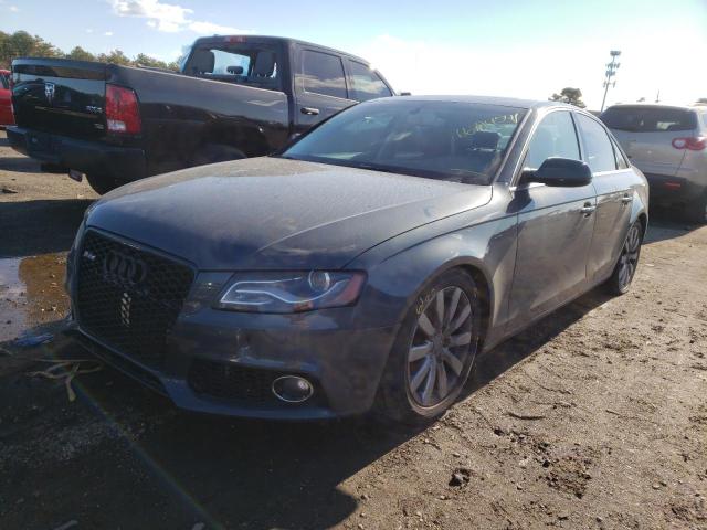 Photo 1 VIN: WAUFFAFL8AN051604 - AUDI A4 PREMIUM 