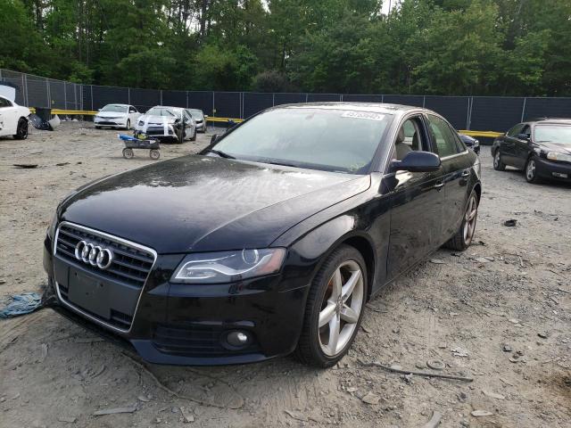 Photo 1 VIN: WAUFFAFL8BN037834 - AUDI A4 PREMIUM 