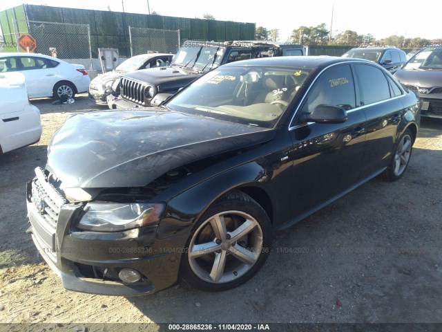 Photo 1 VIN: WAUFFAFL8CN005032 - AUDI A4 