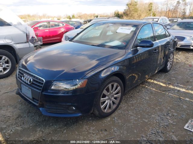 Photo 1 VIN: WAUFFAFL9AN010222 - AUDI A4 