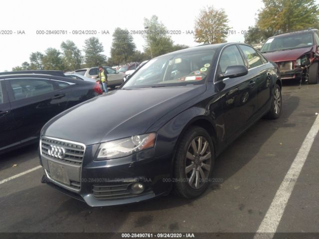 Photo 1 VIN: WAUFFAFL9AN026047 - AUDI A4 