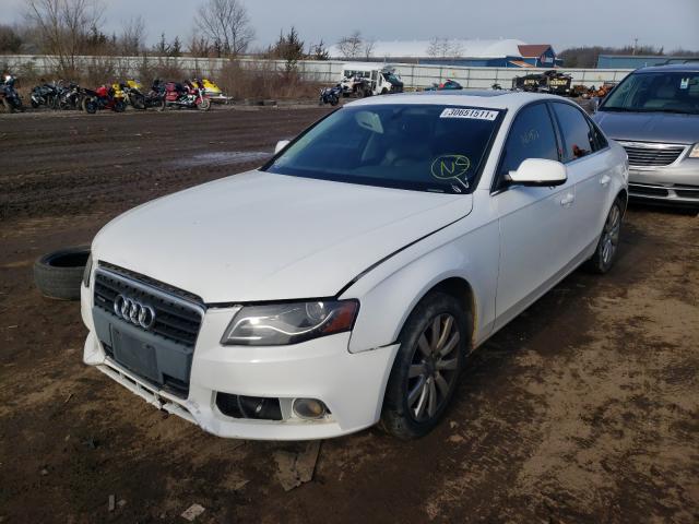 Photo 1 VIN: WAUFFAFL9AN033144 - AUDI A4 PREMIUM 