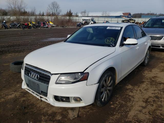 Photo 8 VIN: WAUFFAFL9AN033144 - AUDI A4 PREMIUM 