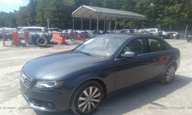 Photo 1 VIN: WAUFFAFL9AN037324 - AUDI A4 