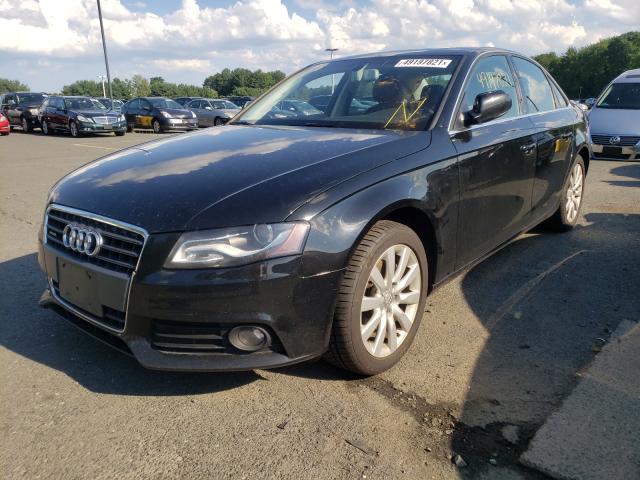 Photo 1 VIN: WAUFFAFL9BN023554 - AUDI A4 PREMIUM 