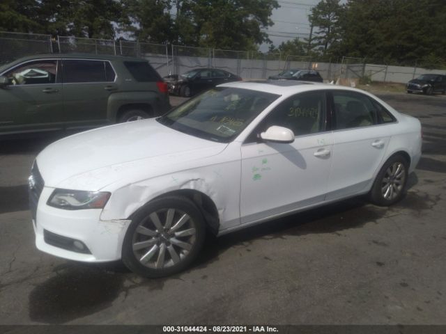 Photo 1 VIN: WAUFFAFLXAN013811 - AUDI A4 