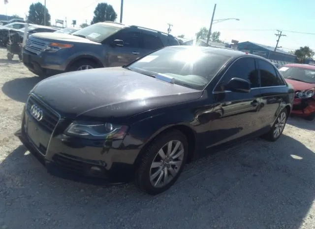 Photo 1 VIN: WAUFFAFLXAN033637 - AUDI A4 