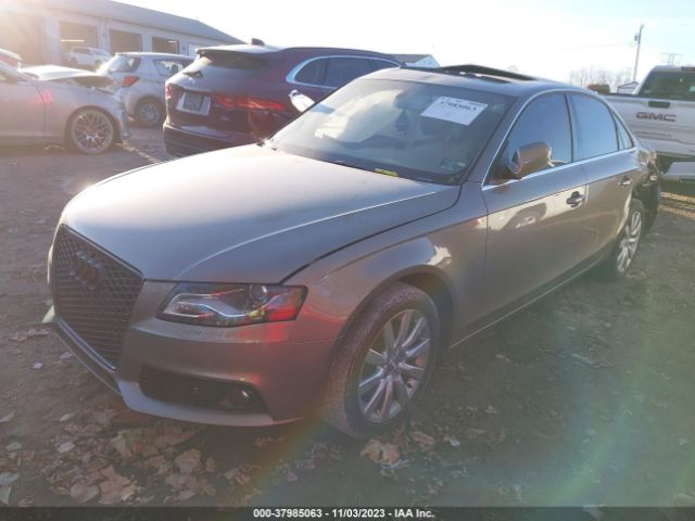 Photo 1 VIN: WAUFFAFLXAN045853 - AUDI A4 