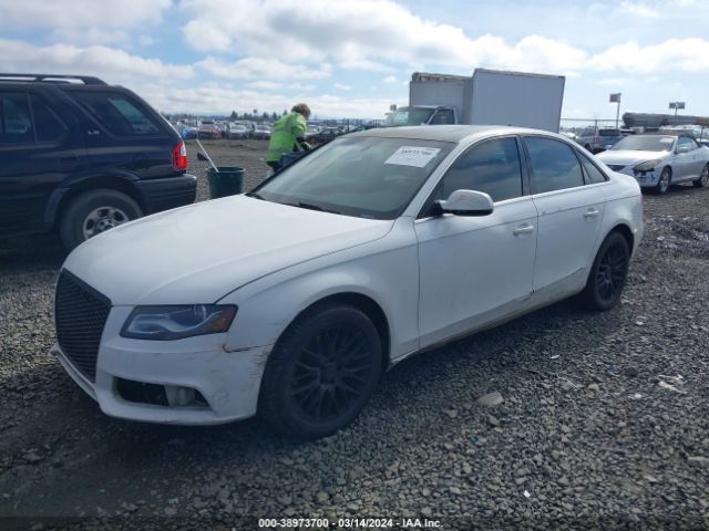 Photo 1 VIN: WAUFFAFLXBA066632 - AUDI A4 