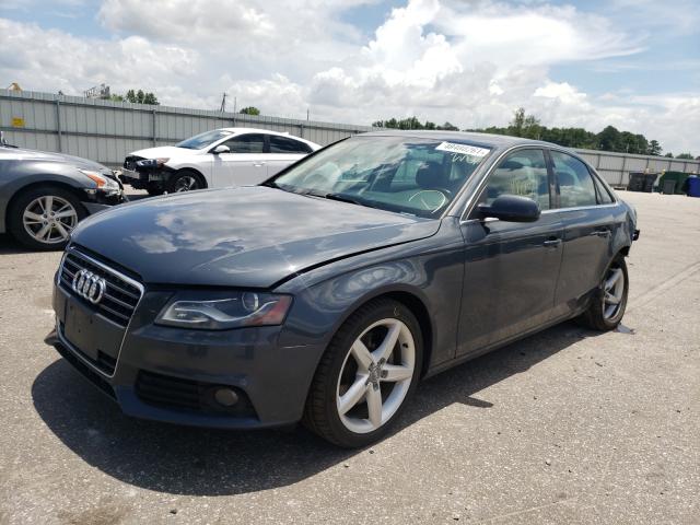 Photo 1 VIN: WAUFFAFLXBN009257 - AUDI A4 PREMIUM 