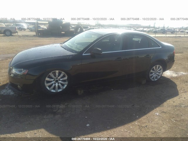 Photo 1 VIN: WAUFFAFLXBN056837 - AUDI A4 