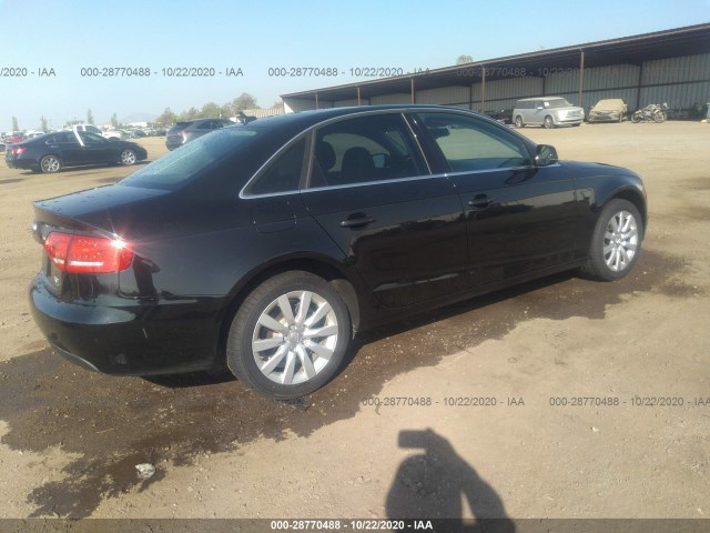 Photo 3 VIN: WAUFFAFLXBN056837 - AUDI A4 