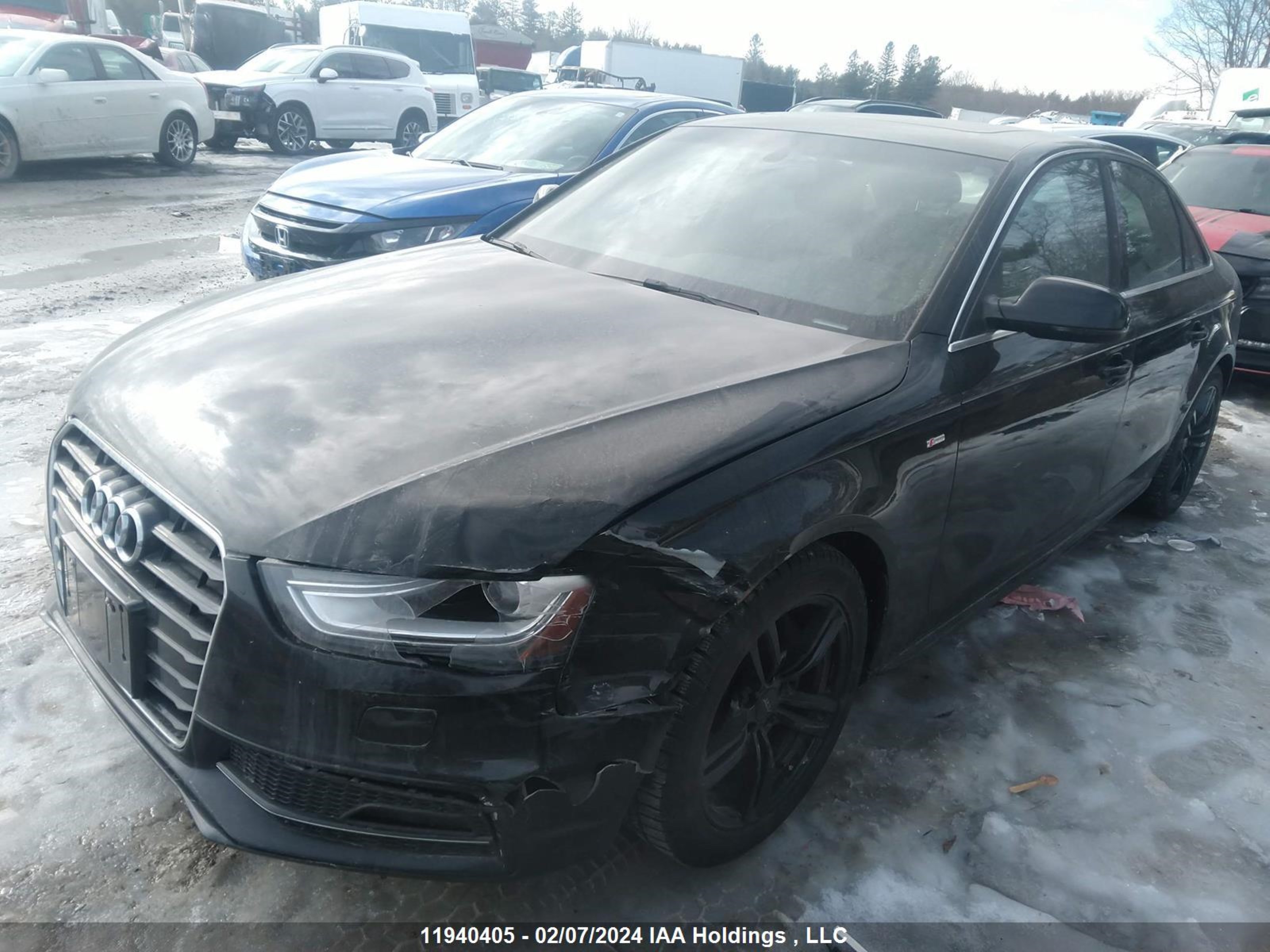 Photo 1 VIN: WAUFFCFL3FN019582 - AUDI A4 