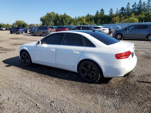 Photo 1 VIN: WAUFFCFL5AN066668 - AUDI A4 PREMIUM 