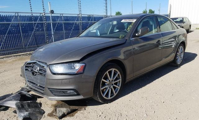 Photo 1 VIN: WAUFFCFL5EN003754 - AUDI A4 