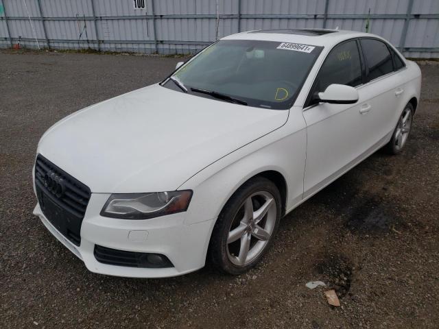 Photo 1 VIN: WAUFFCFL7BN020714 - AUDI A4 PREMIUM 