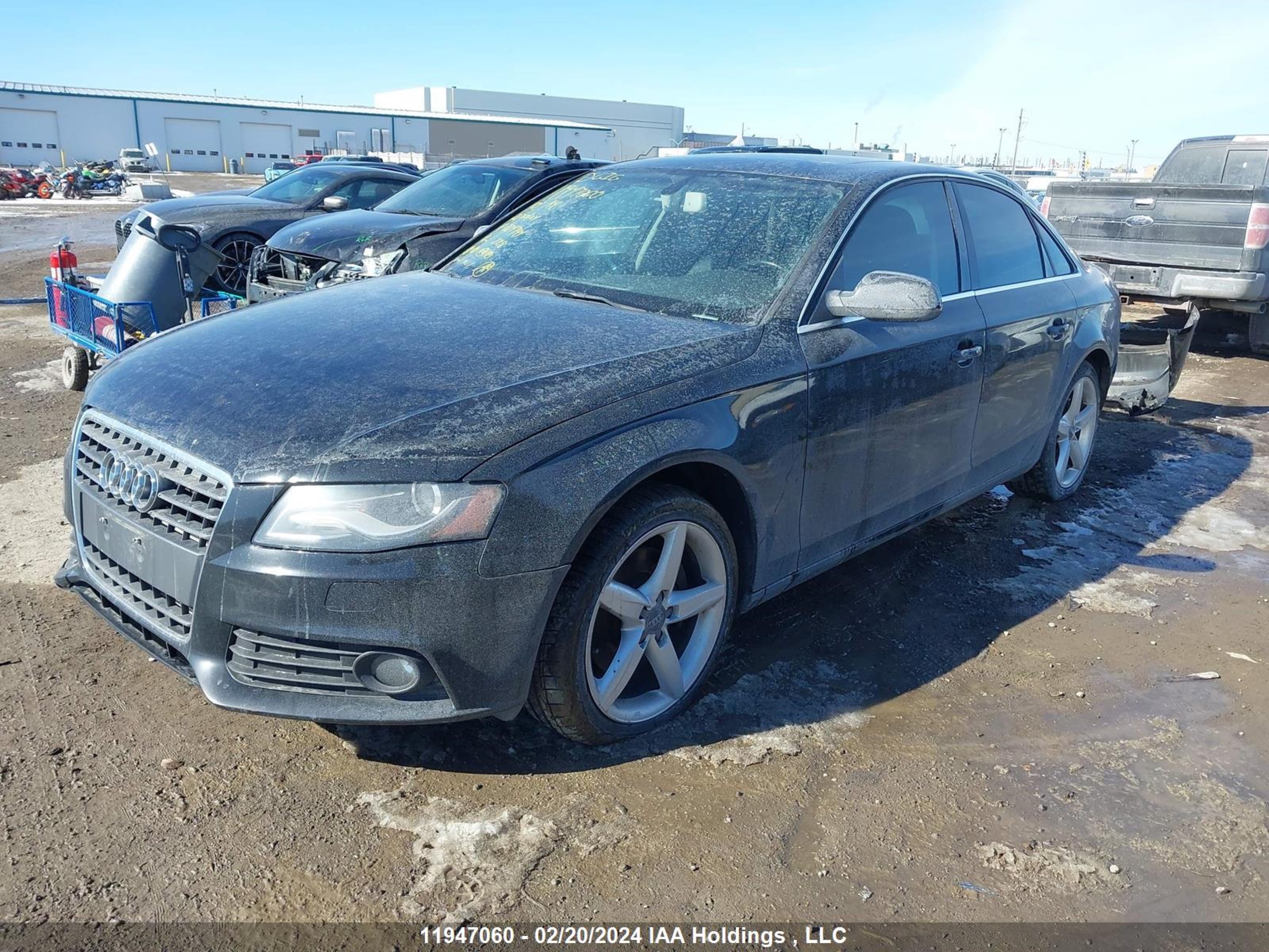 Photo 1 VIN: WAUFFCFL9AN024794 - AUDI A4 