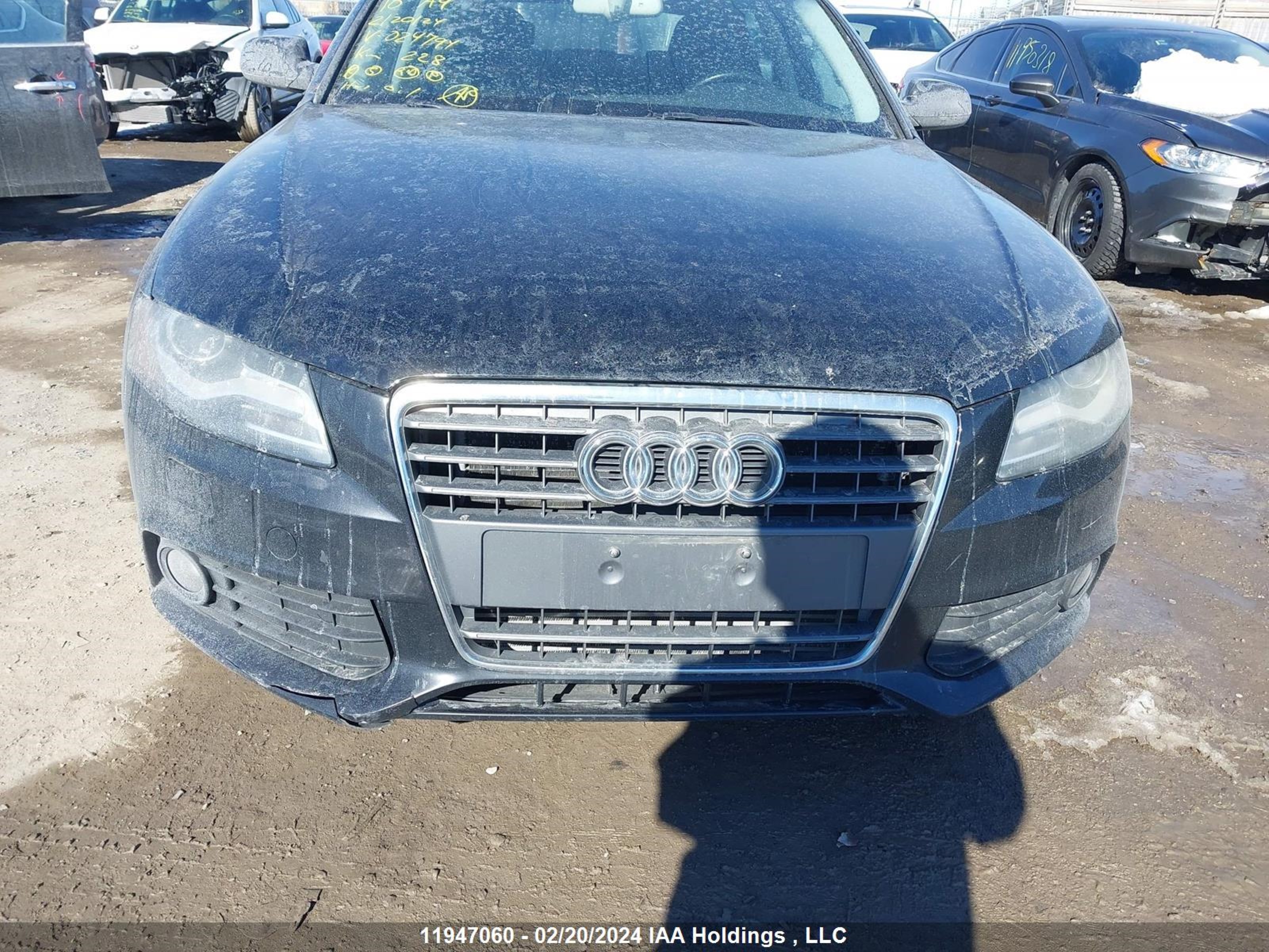 Photo 12 VIN: WAUFFCFL9AN024794 - AUDI A4 