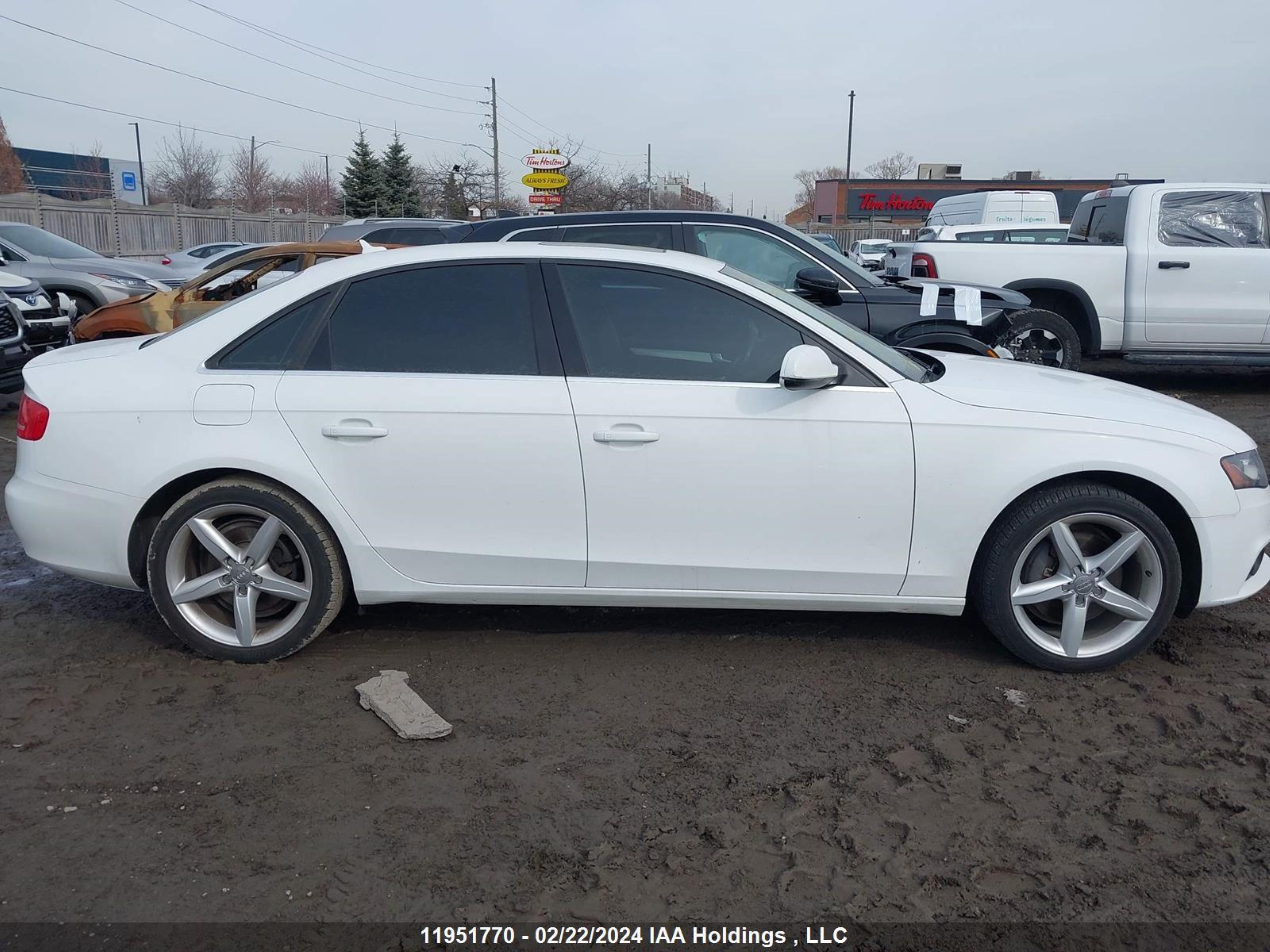 Photo 12 VIN: WAUFFCFL9BN023873 - AUDI A4 