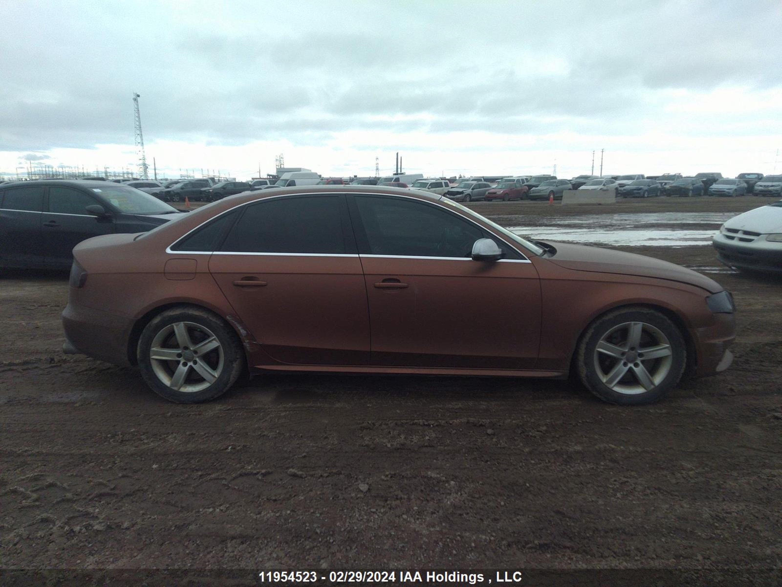 Photo 12 VIN: WAUFGCFL9BA003031 - AUDI S4 