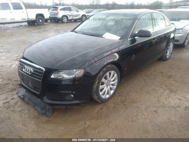 Photo 1 VIN: WAUHFAFL1BN002867 - AUDI A4 