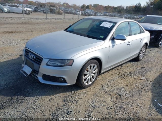 Photo 1 VIN: WAUHFAFL3AN008927 - AUDI A4 