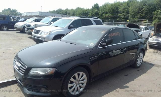 Photo 1 VIN: WAUHFAFL7AA050170 - AUDI A4 