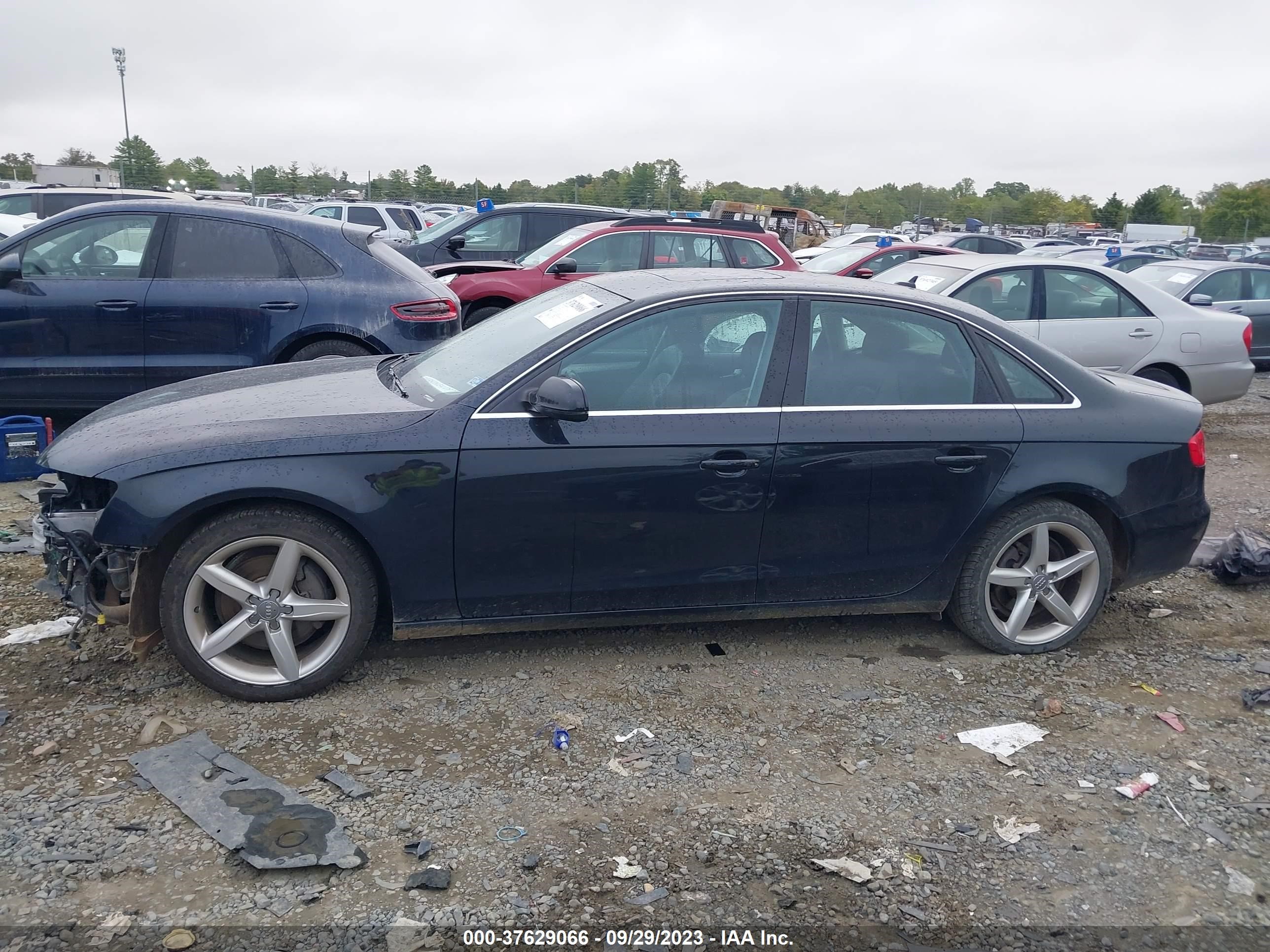 Photo 14 VIN: WAUHFAFL8BN015437 - AUDI A4 