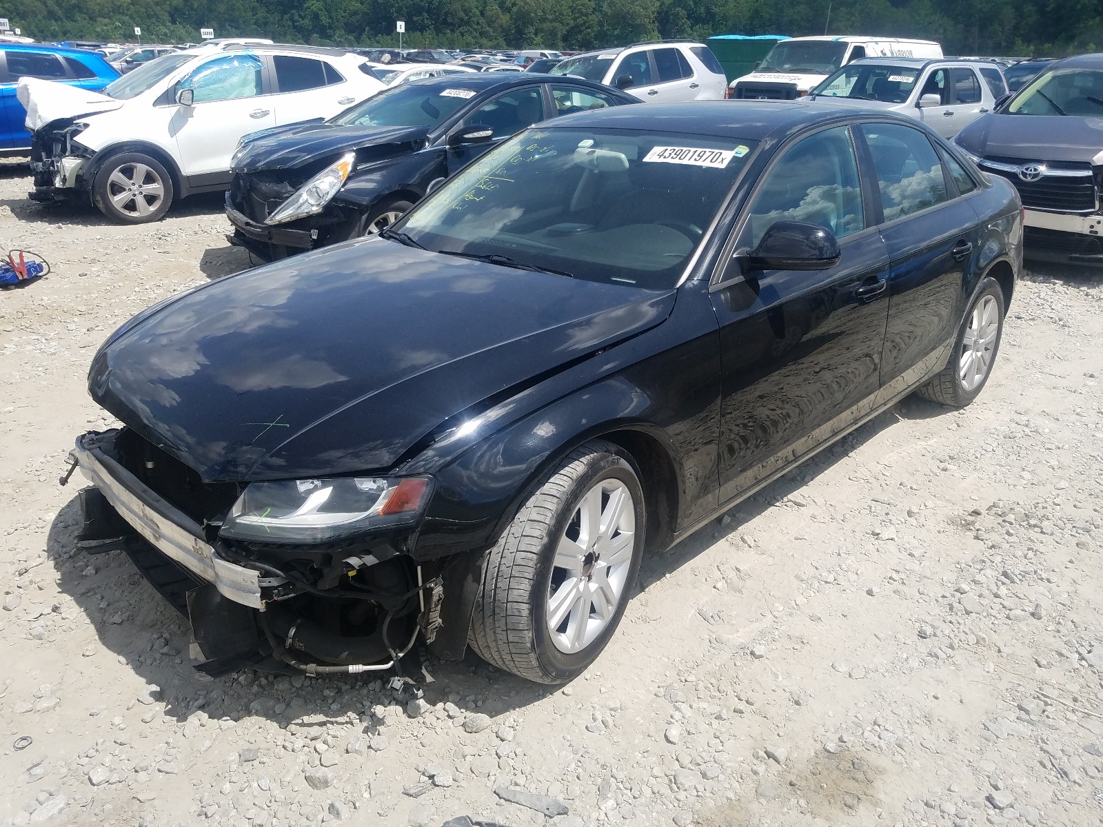 Photo 1 VIN: WAUJF78K69N061576 - AUDI A4 PREMIUM 