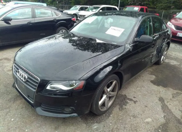 Photo 1 VIN: WAUKFAFL0AN025786 - AUDI A4 