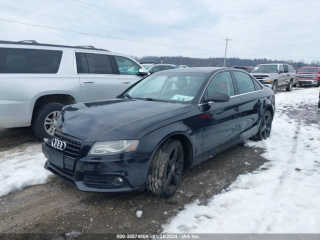 Photo 1 VIN: WAUKFAFL9BA100526 - AUDI A4 