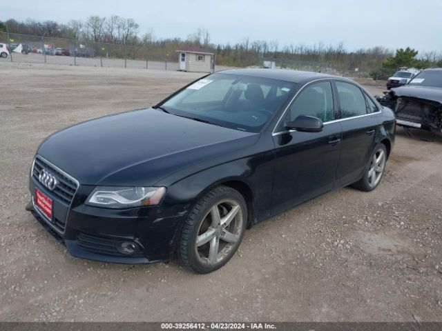 Photo 1 VIN: WAUKFAFL9BN003321 - AUDI A4 