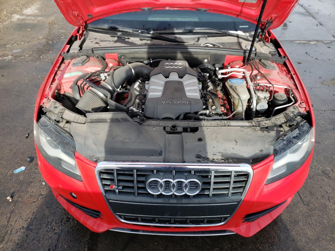 Photo 10 VIN: WAUKGAFL1BA030825 - AUDI RS4 