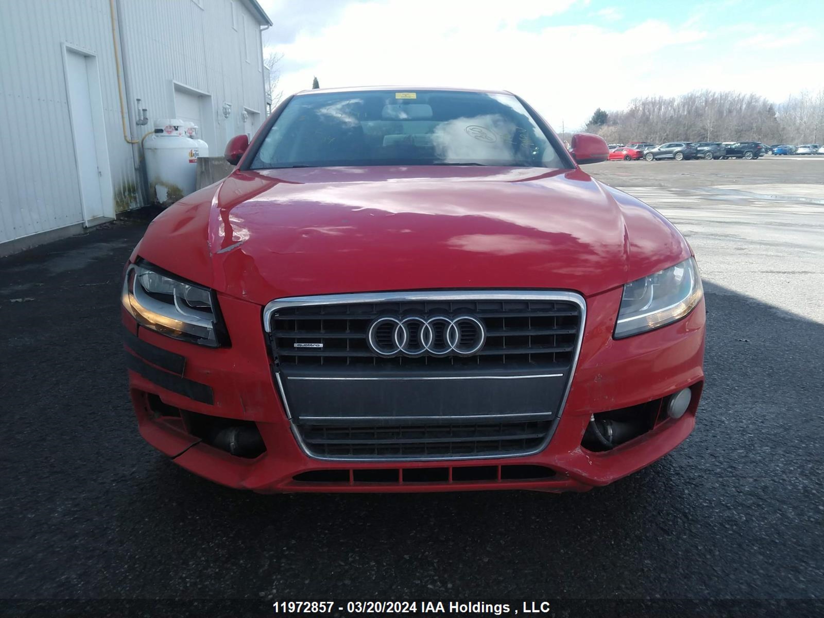 Photo 11 VIN: WAULF68K29N052411 - AUDI A4 