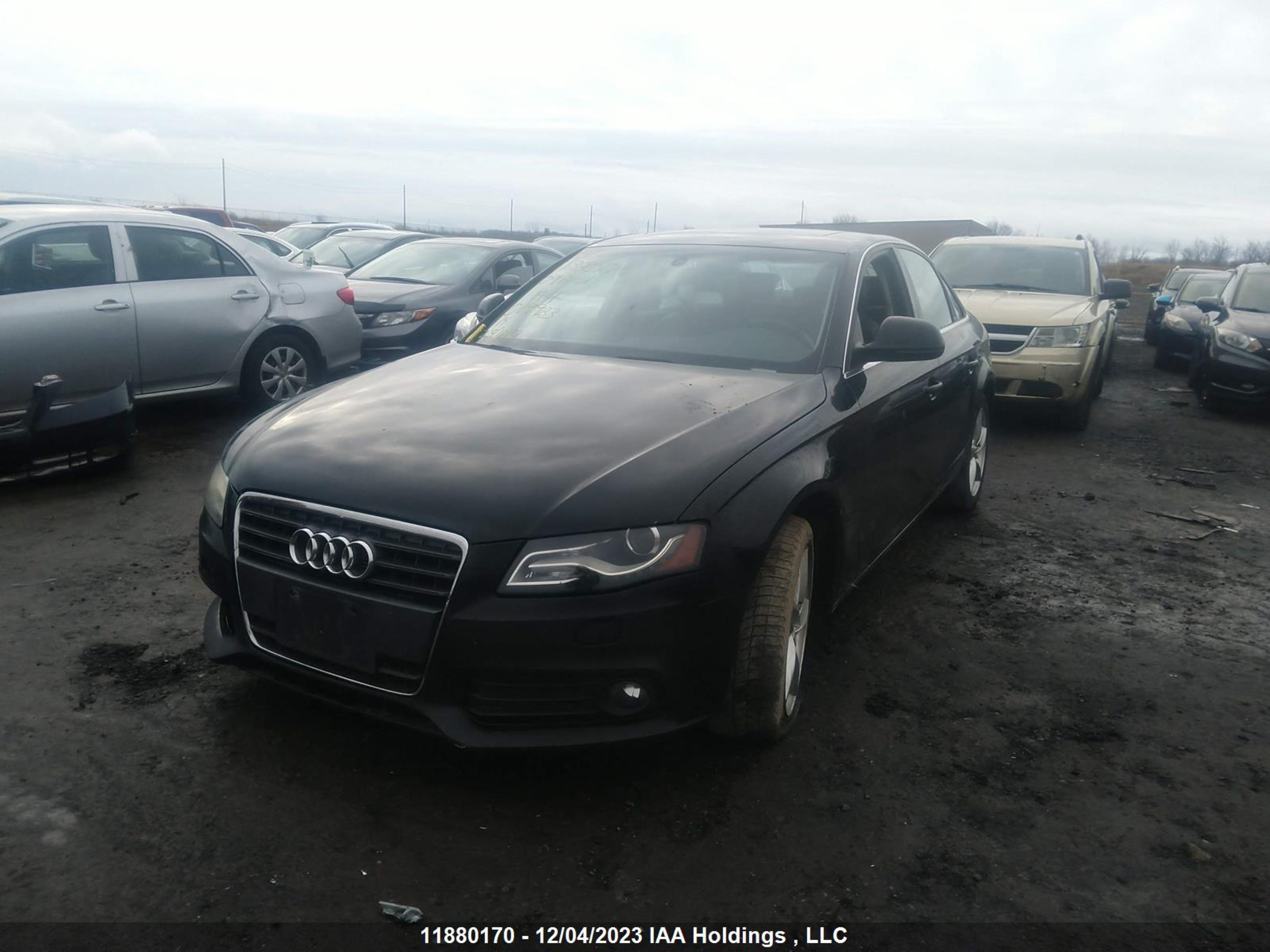 Photo 1 VIN: WAULF68KX9N019933 - AUDI A4 