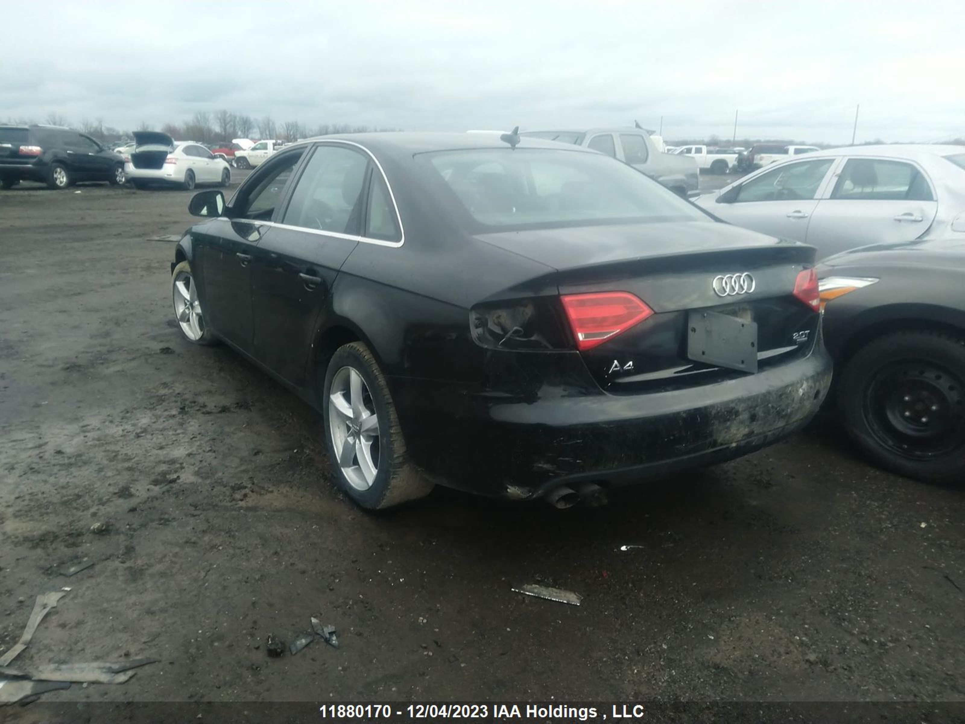 Photo 2 VIN: WAULF68KX9N019933 - AUDI A4 