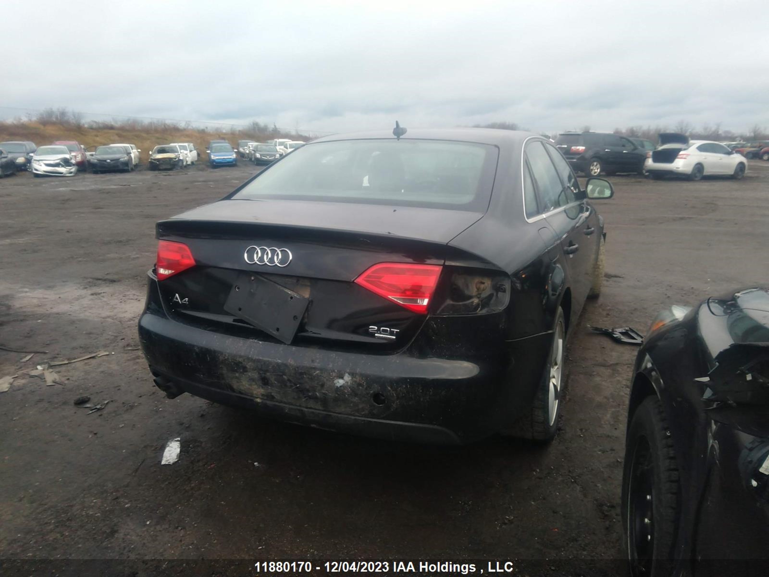 Photo 3 VIN: WAULF68KX9N019933 - AUDI A4 