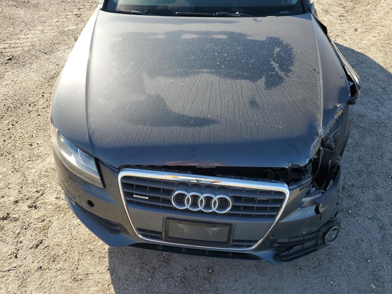 Photo 10 VIN: WAULF78K09N037623 - AUDI A4 