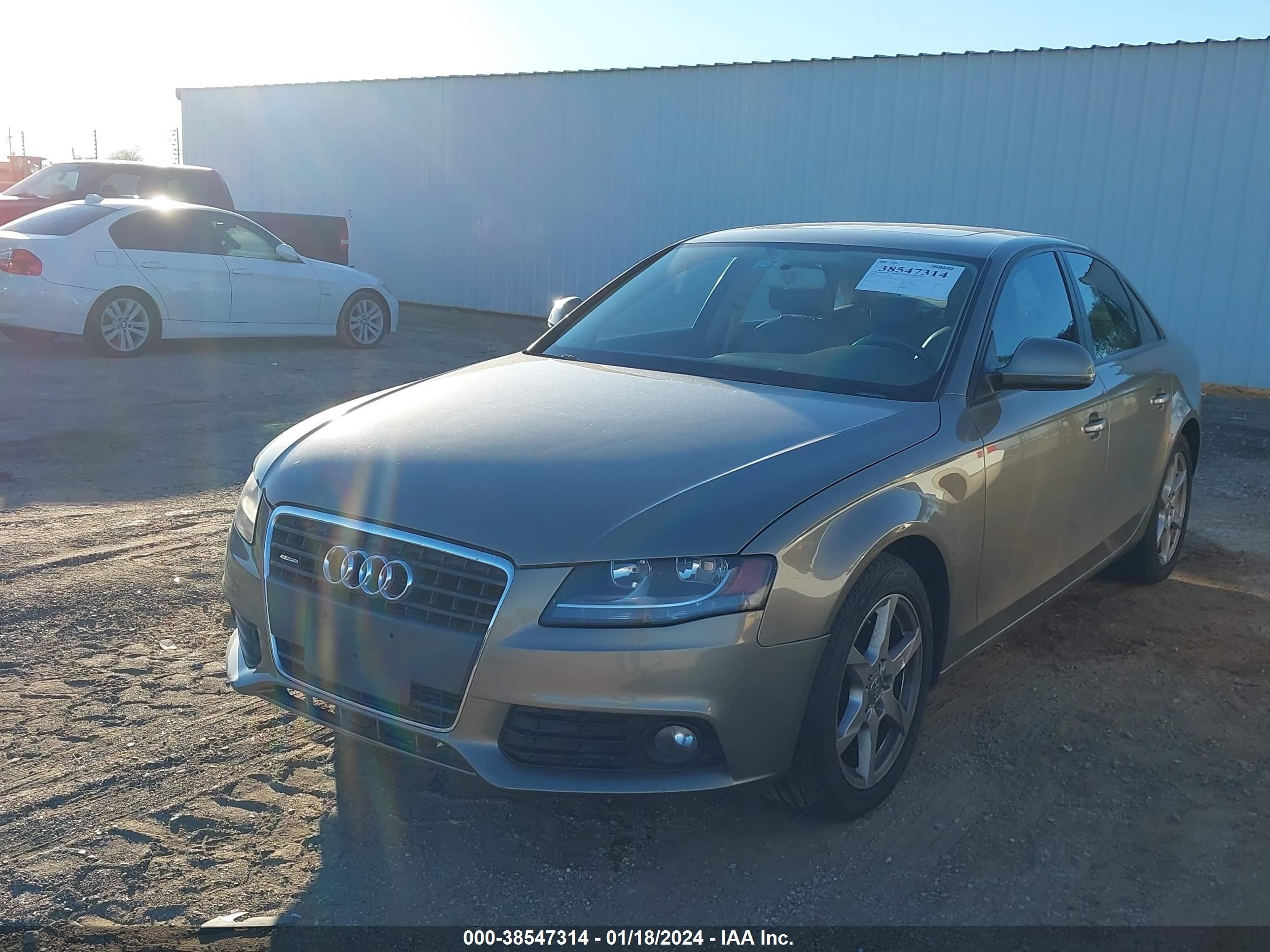 Photo 1 VIN: WAULF78K19N033032 - AUDI A4 