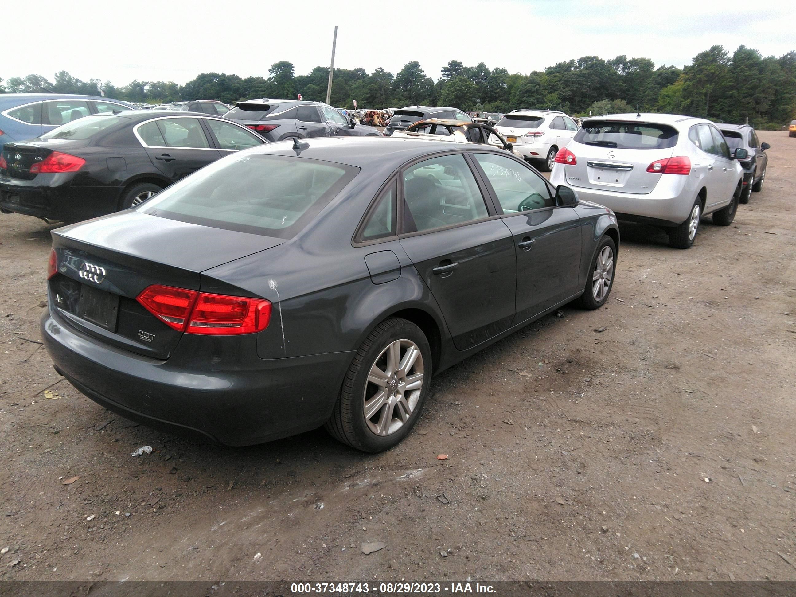 Photo 3 VIN: WAULF78K39N055873 - AUDI A4 