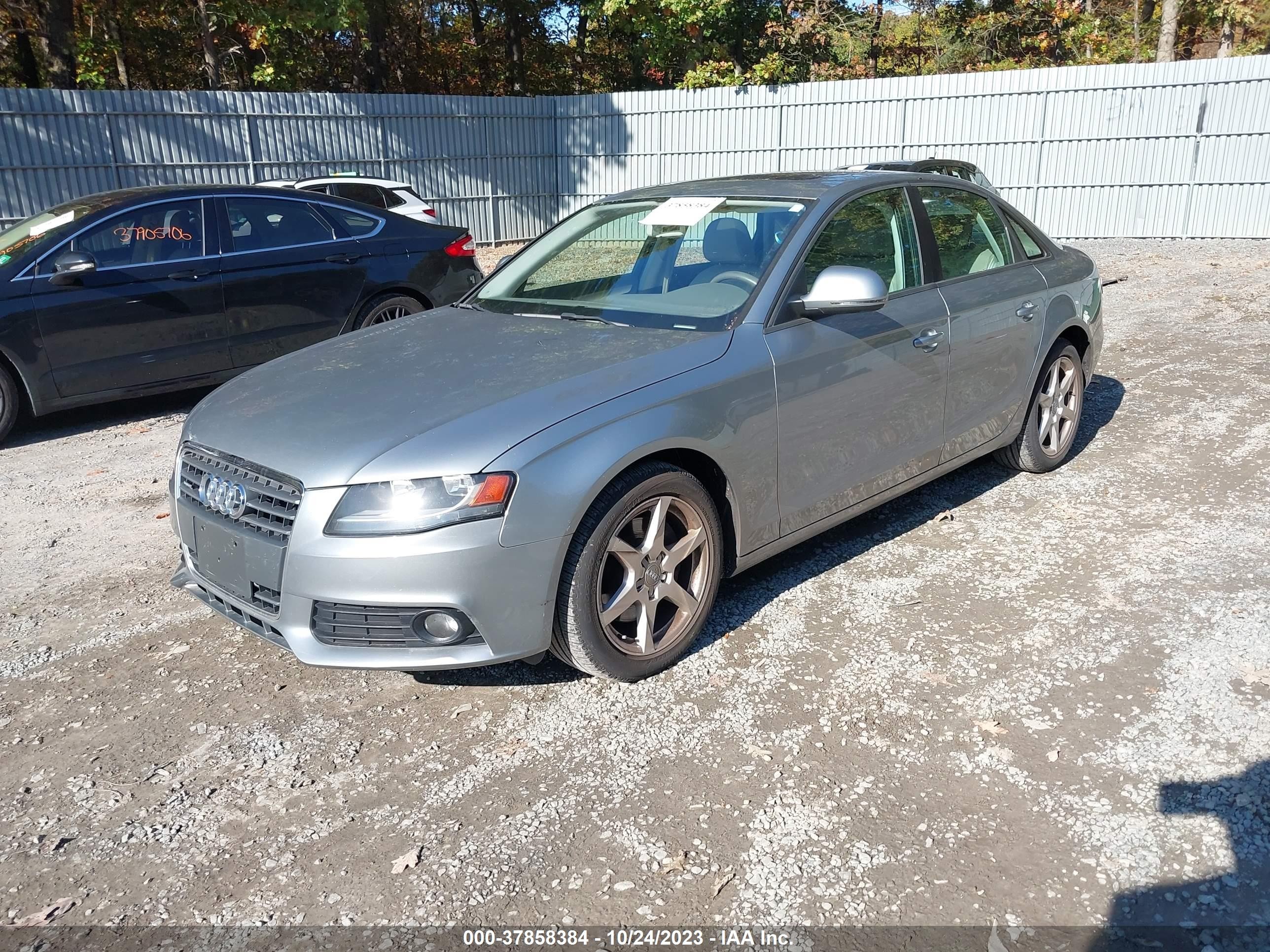 Photo 1 VIN: WAULF78K49N017813 - AUDI A4 