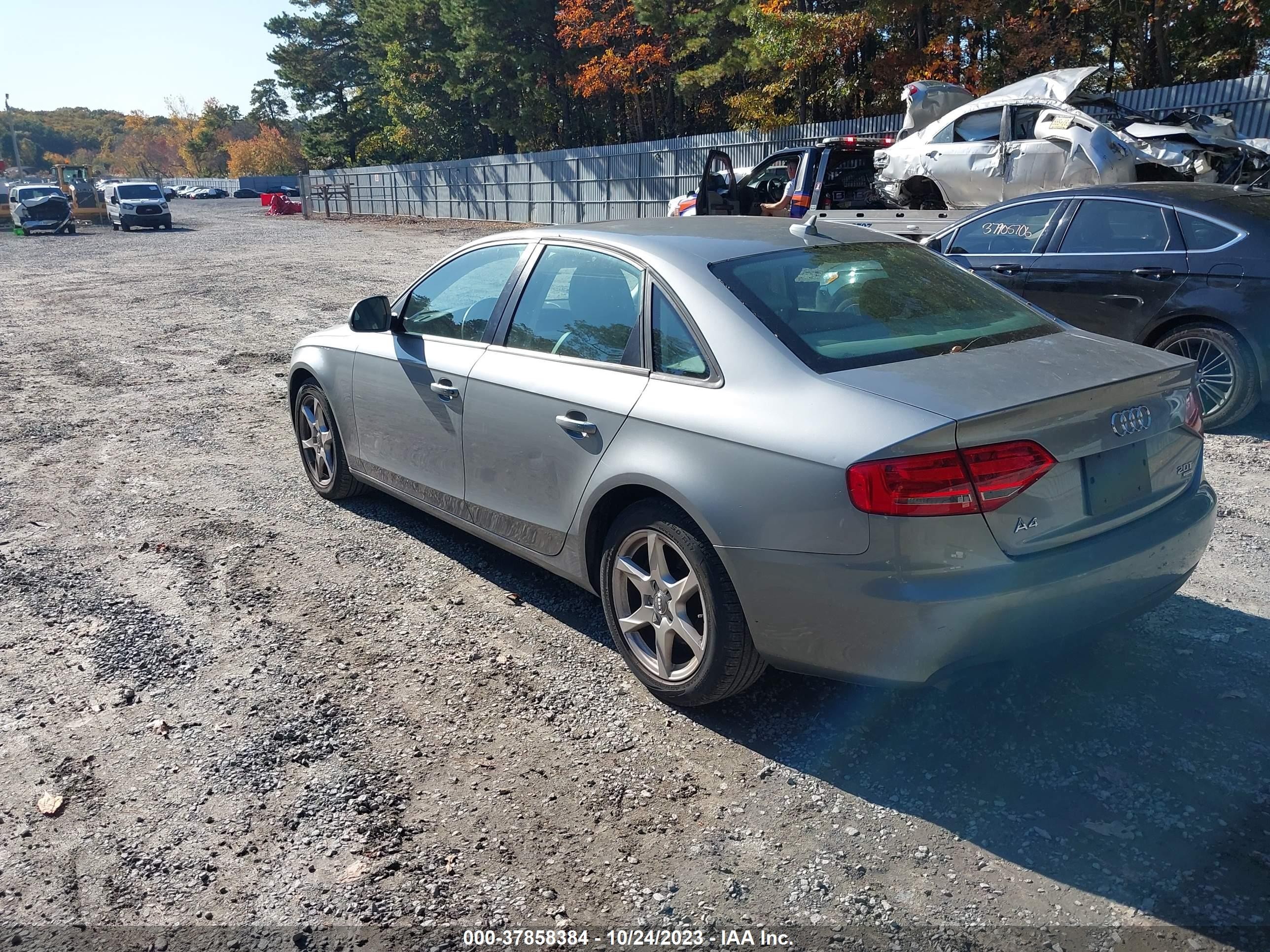 Photo 2 VIN: WAULF78K49N017813 - AUDI A4 