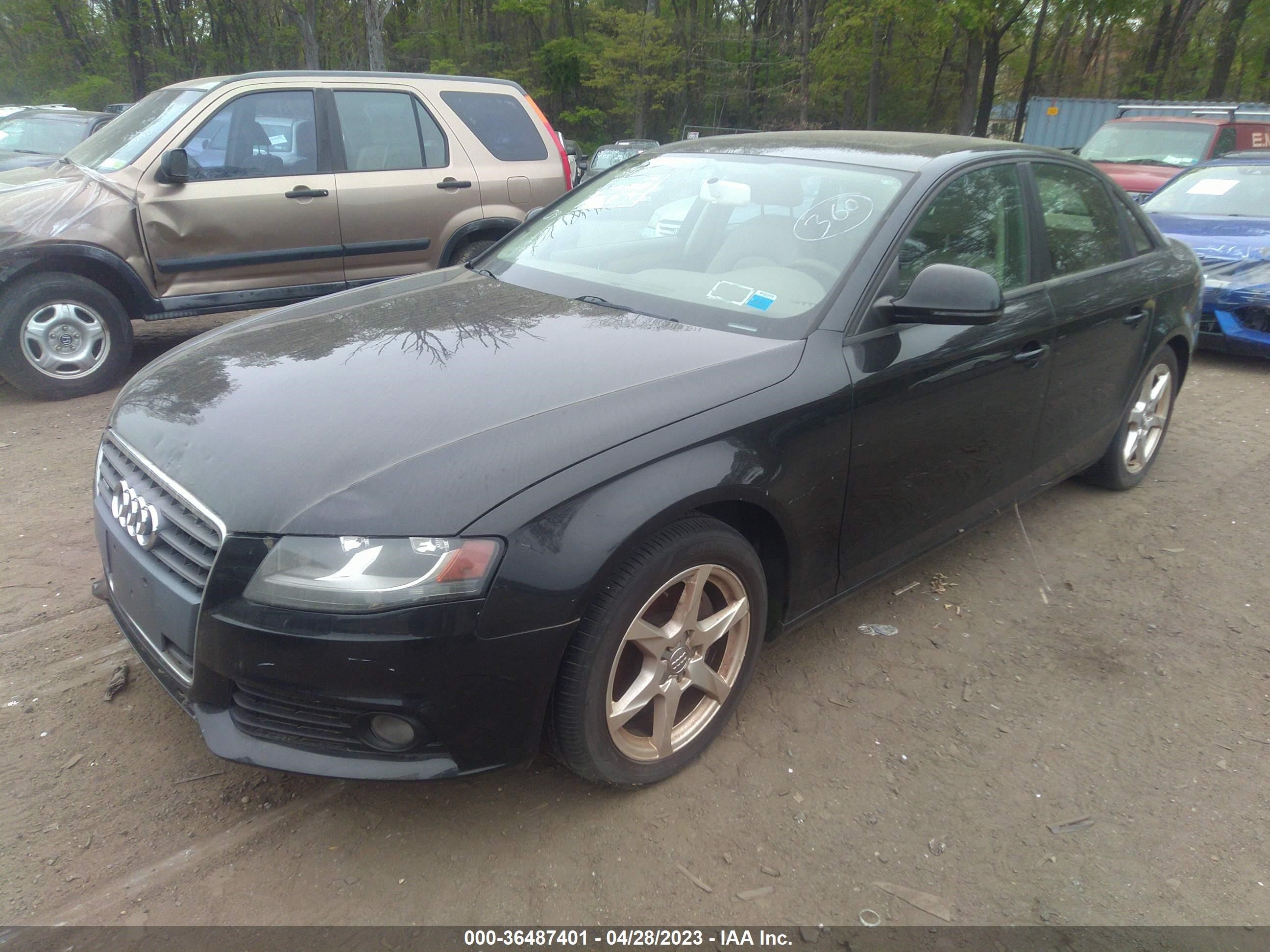 Photo 1 VIN: WAULF78K59N031669 - AUDI A4 