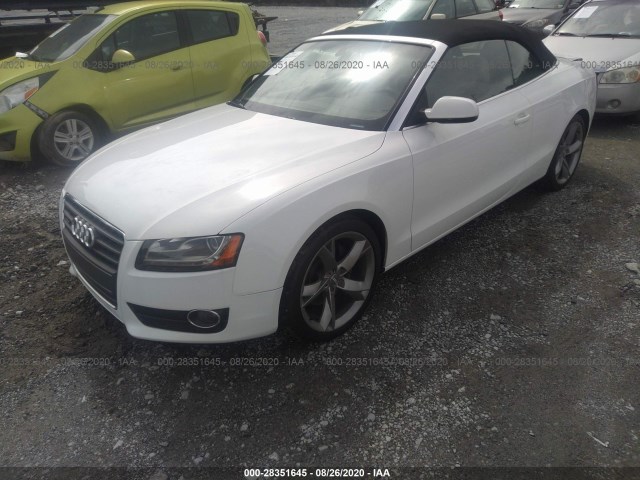 Photo 1 VIN: WAULFAFH2BN017089 - AUDI A5 