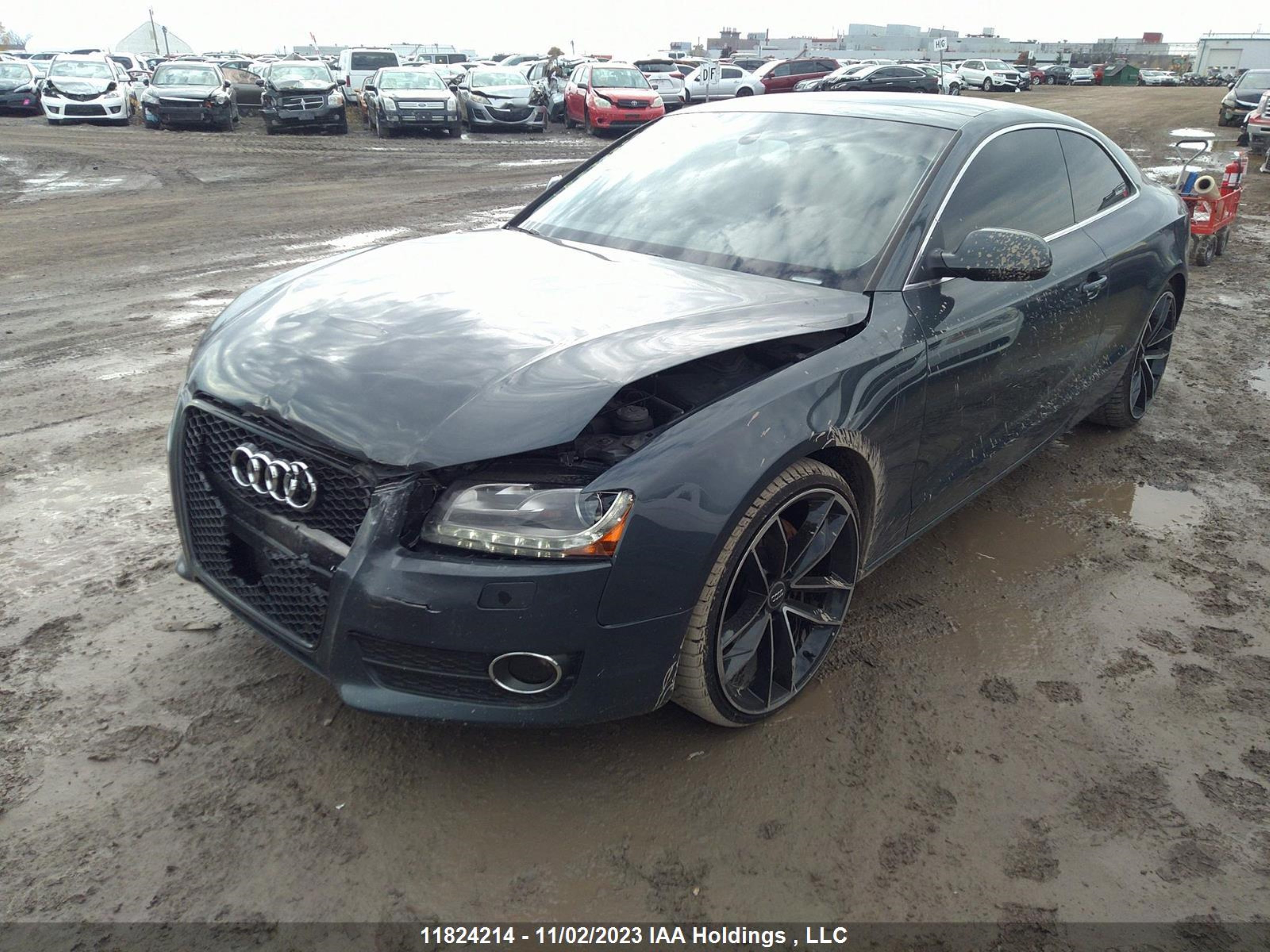 Photo 1 VIN: WAULFBFRXAA008841 - AUDI A5 